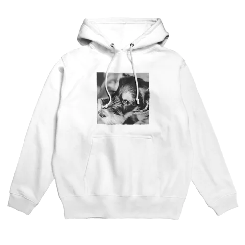 ミニシュナ　 Hoodie