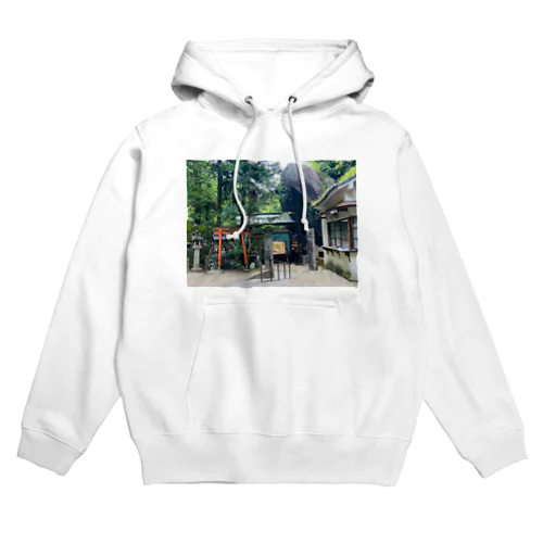 アマノイワフネ天孫降臨 Hoodie