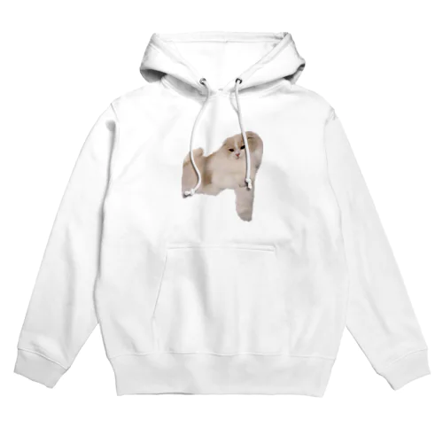 おねむなふうまくん Hoodie