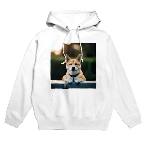 わしゃ見たぞ Hoodie