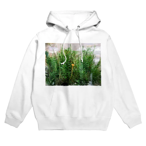 キノコと苔テラリウム Hoodie