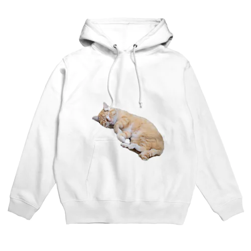 リス猫グーシュ Hoodie