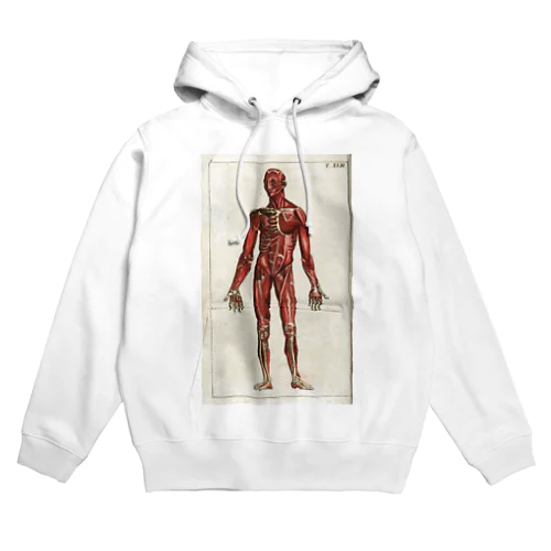 人体生理学 Hoodie