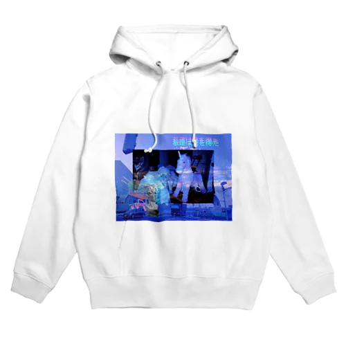 wegotagun Hoodie