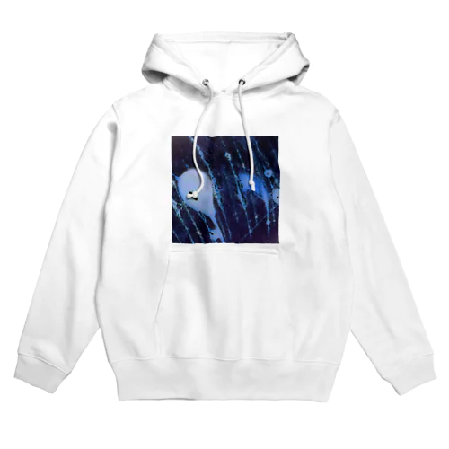 Shooting Scratch Galaxy 流れ傷銀河 (WCG276) Hoodie