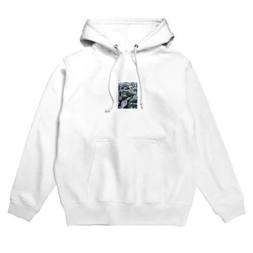 もさもさ霜さん Hoodie