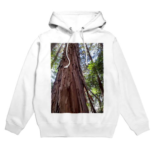 お山の檜 Hoodie