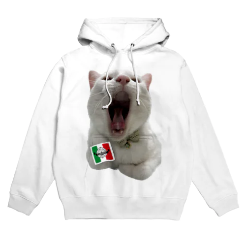 カルロッタ🇮🇹亀② Hoodie