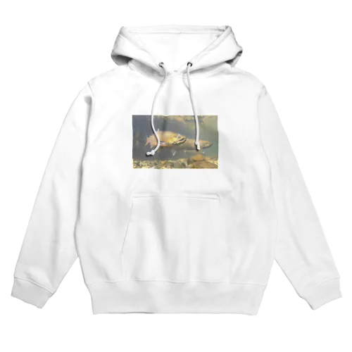 ビワマスの産卵 Hoodie