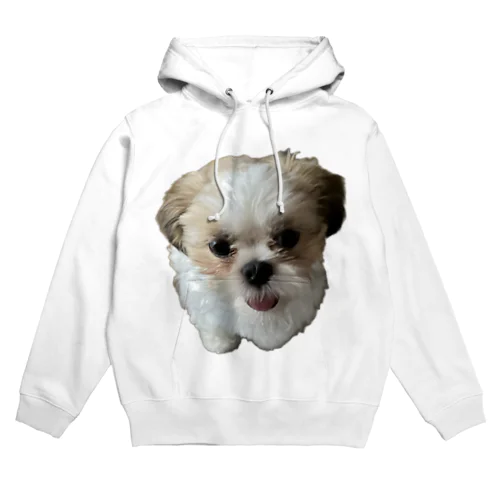 狐月(こつき)の愛犬茶々丸 Hoodie