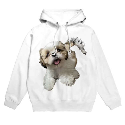 狐月(こつき)の愛犬茶々丸 Hoodie