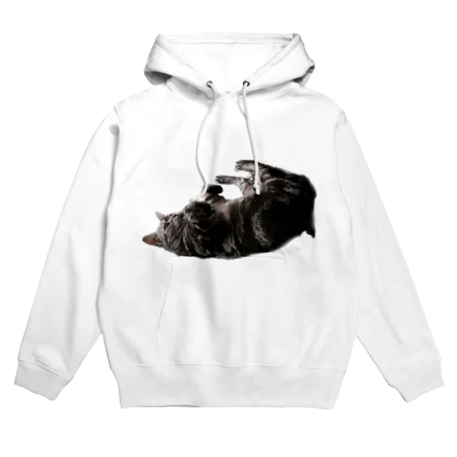 アメショーのひめちゃん⑥ Hoodie