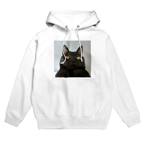 chikuwa Hoodie