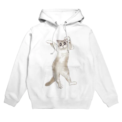 だんすにゃんす。 Hoodie