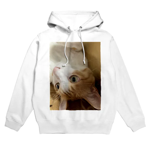 コロリンもも　ねこ Hoodie