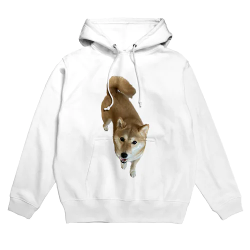 柴犬パーカー Hoodie