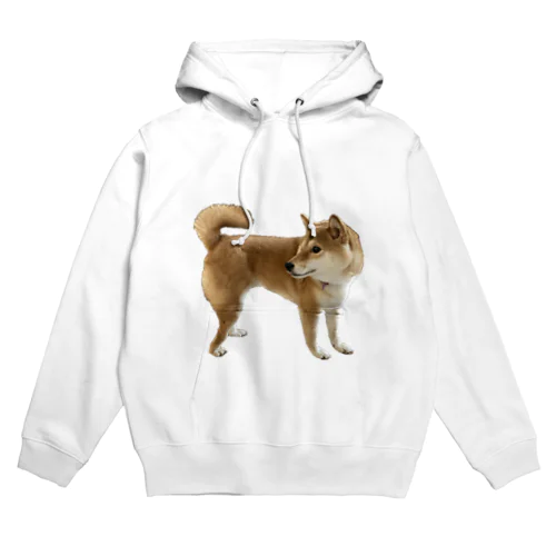 柴犬パーカー Hoodie