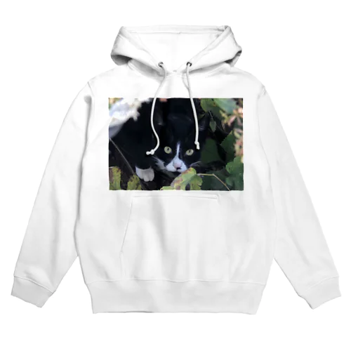 「私が小さい秋だ」 Hoodie