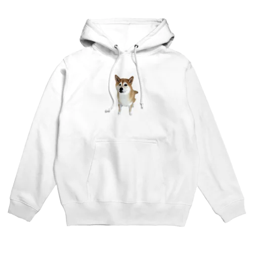 うるうるおめ目な柴犬 Hoodie