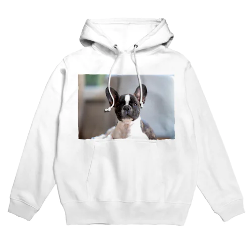 癒し系いぬ Hoodie