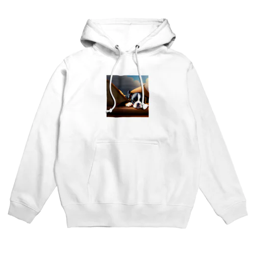 お眠りボストンテリア Hoodie