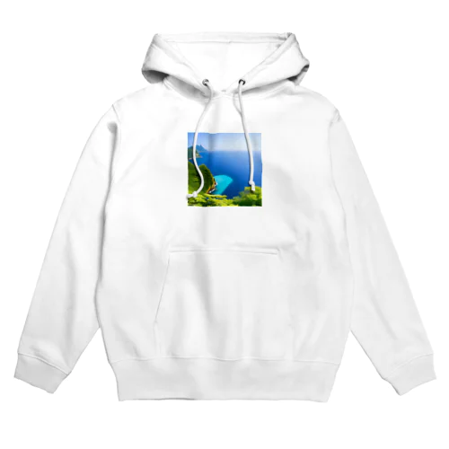 海外画 Hoodie