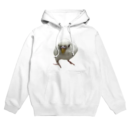 アルビノセキセイインコハクちゃん Hoodie