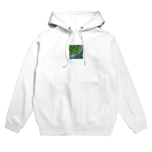 自然な多様性 Hoodie