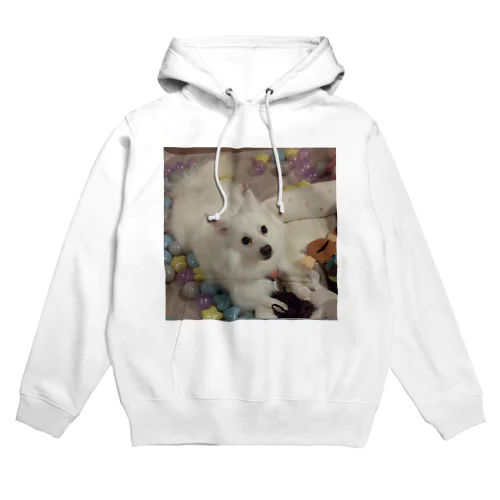 愛犬パールグッズ　Mipa♥日本スピッツ Hoodie