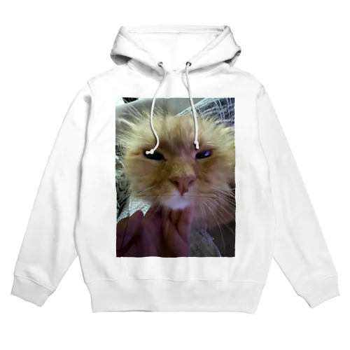 可愛い猫 Hoodie