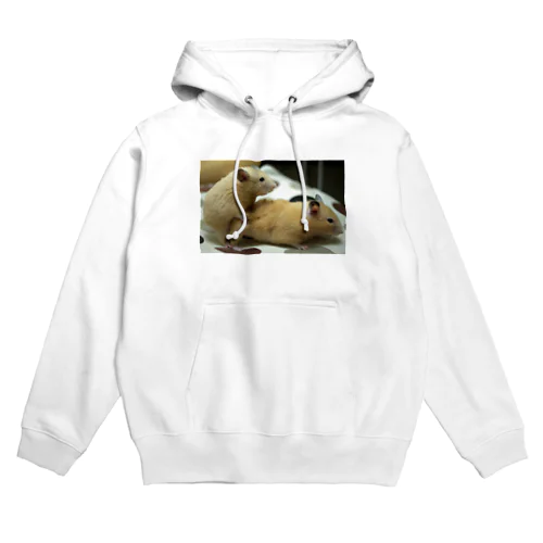 生命の源シリーズ Hoodie