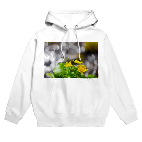 ヤチブキの輝き Hoodie