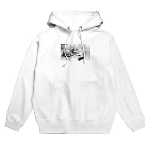 #ネコヒメペット 50ฅ^ơωơ^ฅ♡ Hoodie