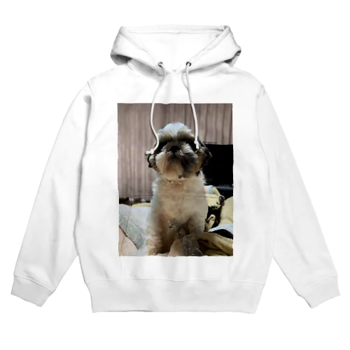 愛犬シーズ Hoodie