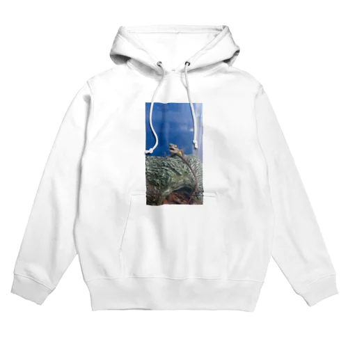 笑うトカゲ Hoodie