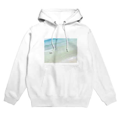 na_3 Hoodie