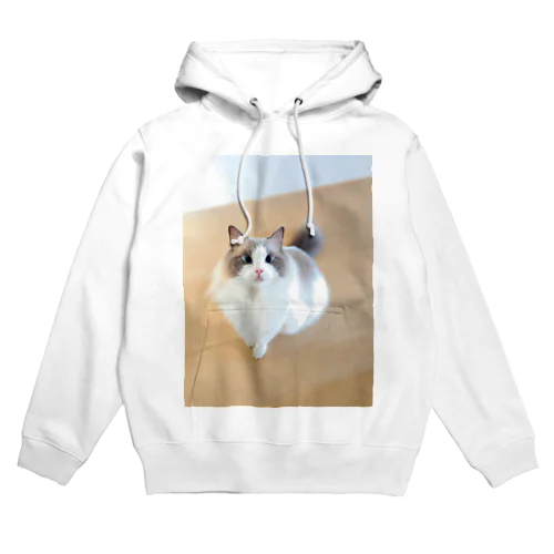 おすわりねこ Hoodie