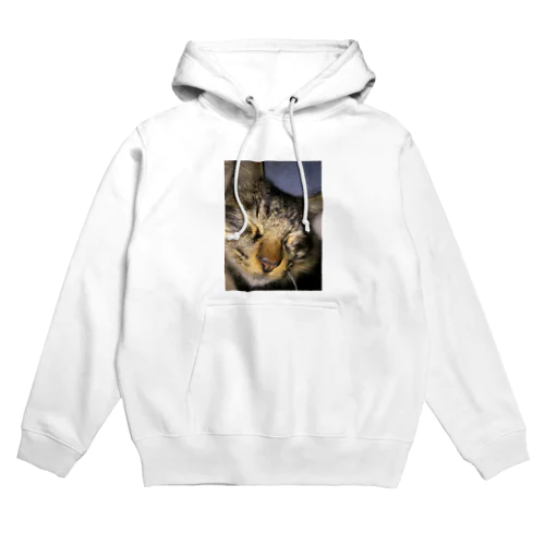 にゃんこシリーズ Hoodie