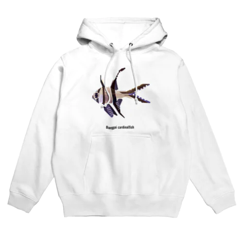 プテラポゴン・カウデルニー Hoodie