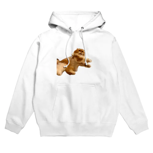 荒ぶるハルくん Hoodie