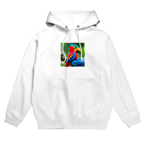 クレイ　パロット　 Hoodie