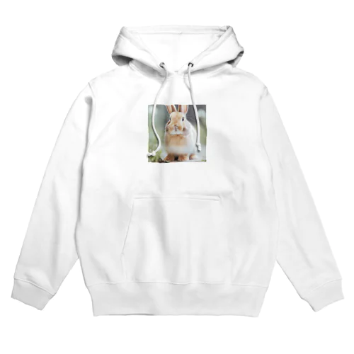 ラビット Hoodie