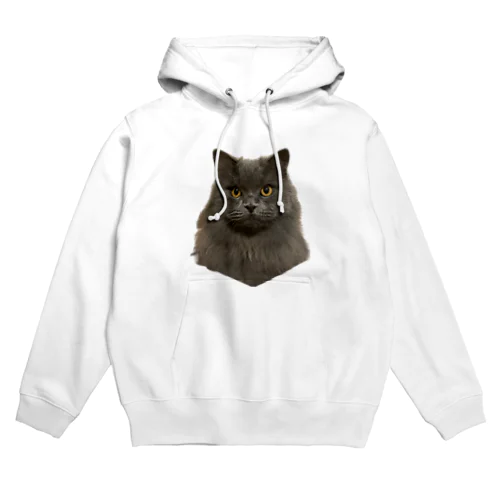 それゆけ！ガブちゃん6 Hoodie