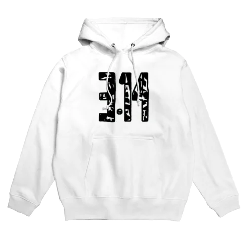 3.14 Hoodie