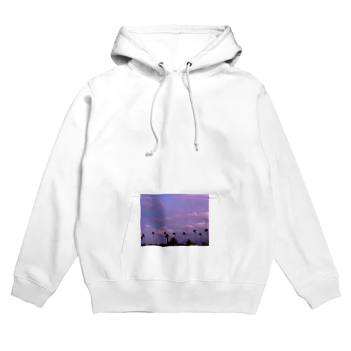 南国の冬空 Hoodie