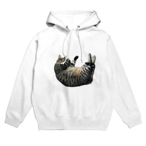 こんなところに猫が落ちてる Hoodie