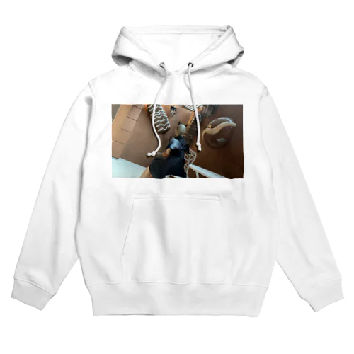 小悪魔坊主女子 Hoodie