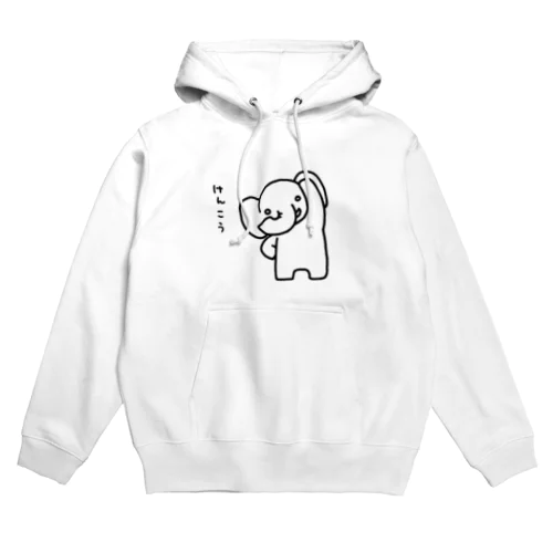 けんこうなぞう Hoodie