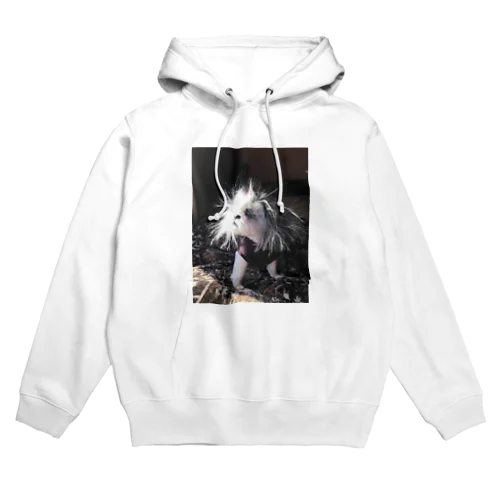 ゴッドラム Hoodie