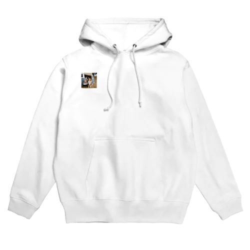 Vanlifeするシェットランドシープドッグ　イラスト Hoodie